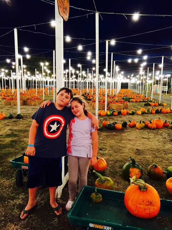 Picking Pumpkins 2015